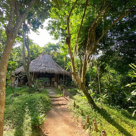 Hostal Paraiso Tayrona Kogui Лос-Наранхос Экстерьер фото
